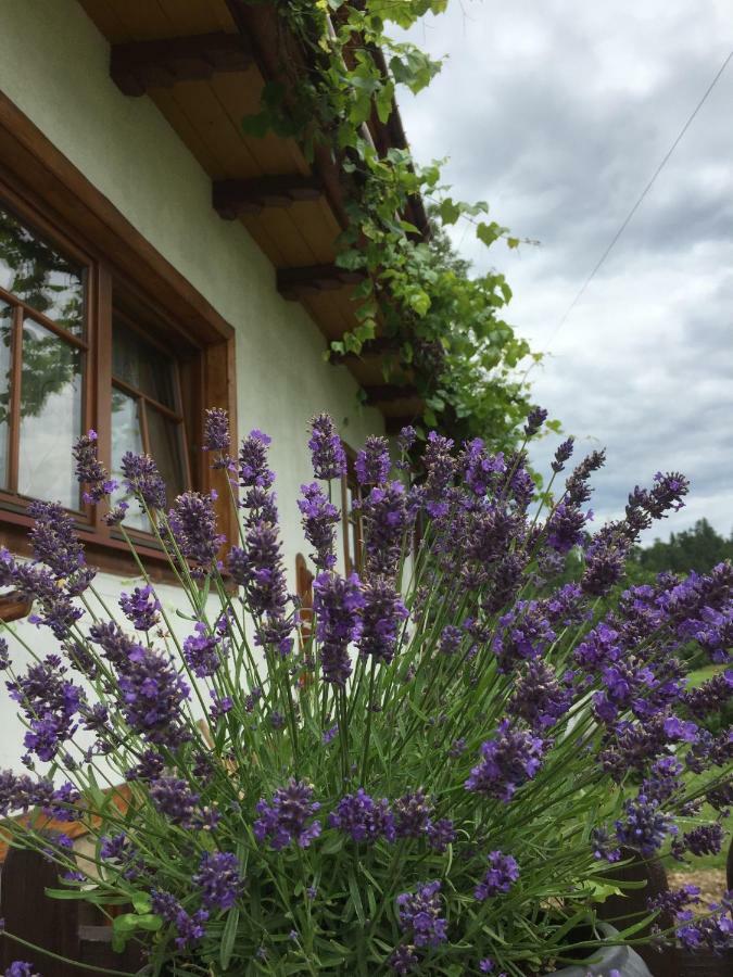 Dom Rodziny Sojkow Bed and Breakfast Białka Tatrzańska Εξωτερικό φωτογραφία