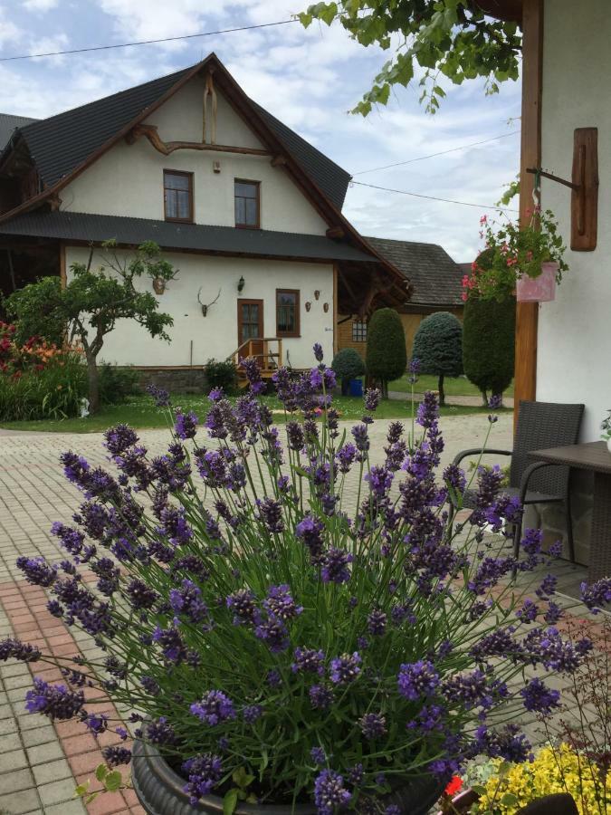 Dom Rodziny Sojkow Bed and Breakfast Białka Tatrzańska Εξωτερικό φωτογραφία